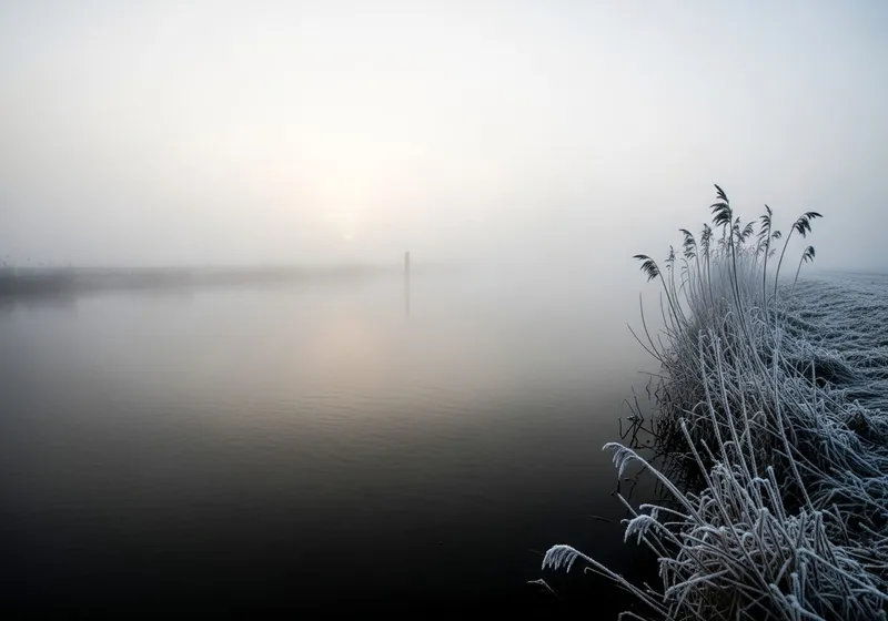 Ständig Müde: Warum Ruhe nicht hilft und Was Ihre Mitochondrien Brauchen