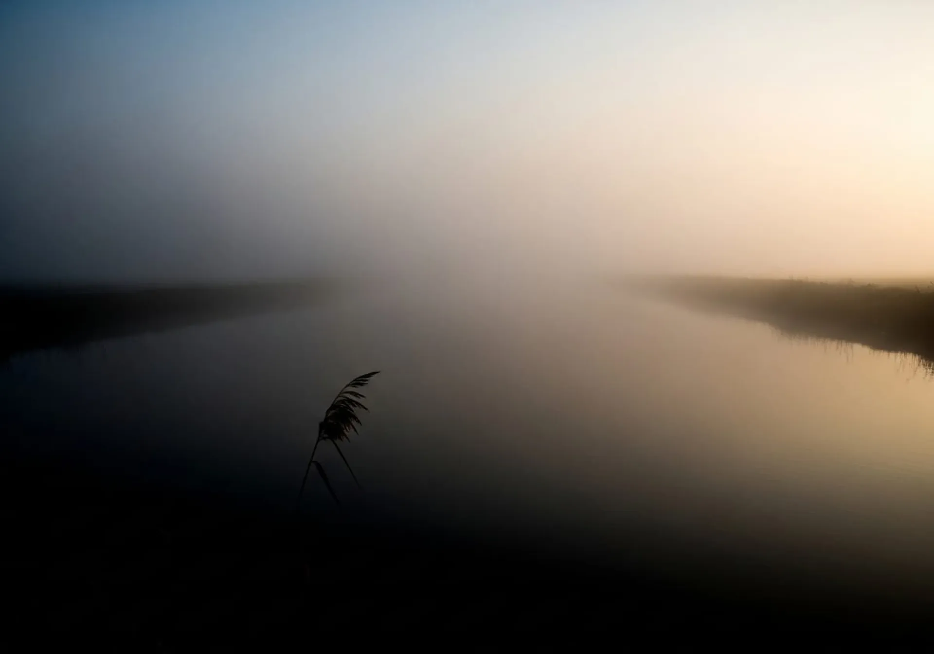 Brain Fog symptomen: Neuro-inflammatorische oorzaken en klinische oplossingen