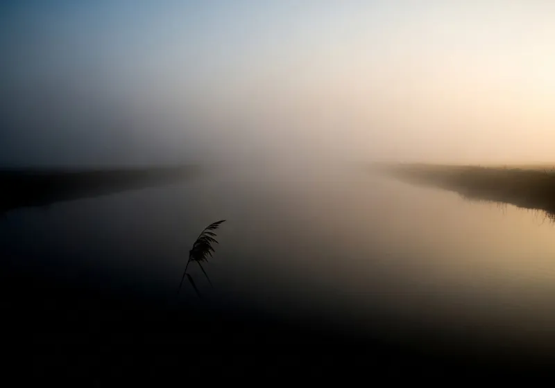 Brain Fog symptomen: Neuro-inflammatorische oorzaken en klinische oplossingen