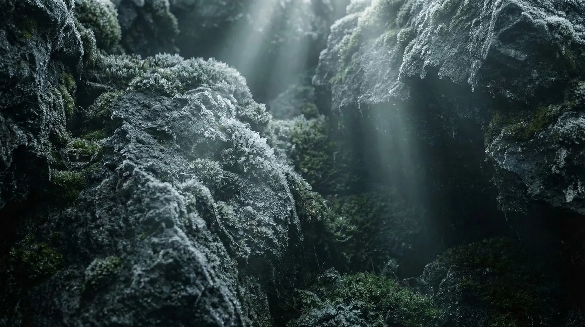 HRV: Objektives Maß für Stress und Erholung